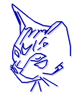 Ice Cat